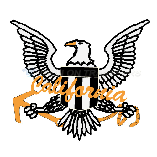 Eagles Iron-on Stickers (Heat Transfers)NO.2216